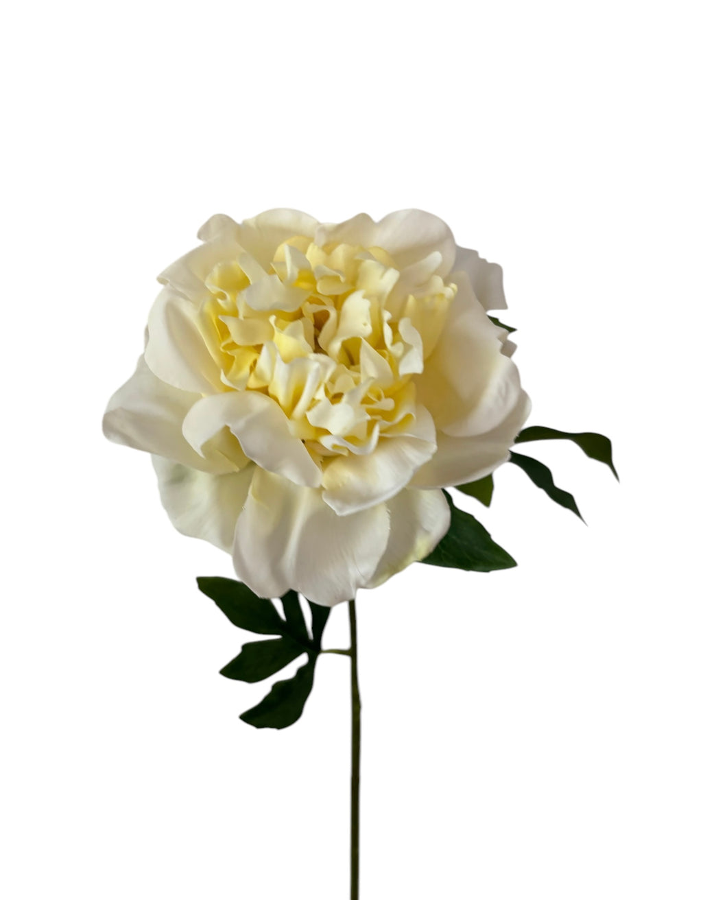 Yellow real touch Peony