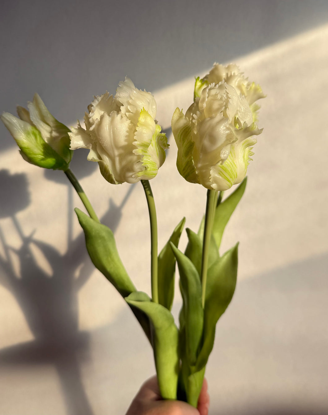 White Parrot Tulip Bouquet