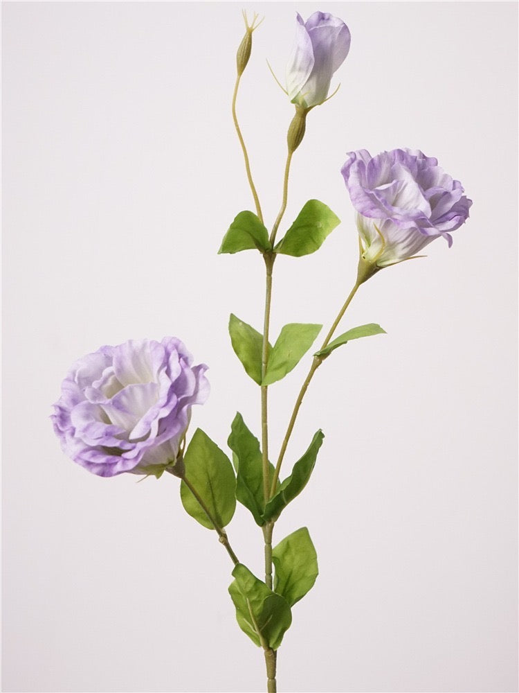 Lilac Lisianthus
