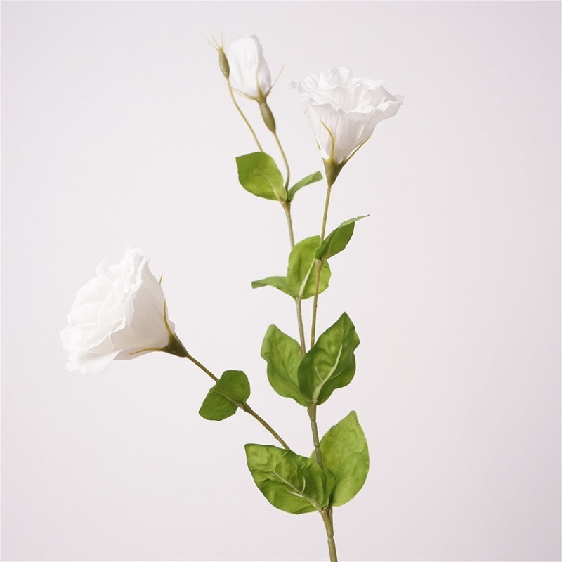 White Lisianthus