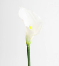 Load image into Gallery viewer, White real touch Calla Lily
