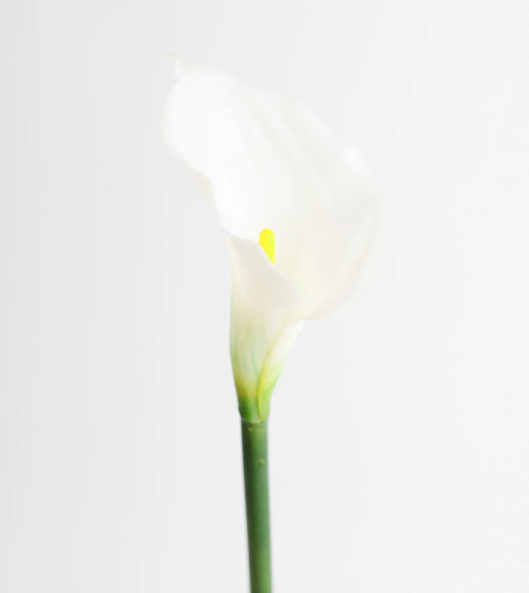 White real touch Calla Lily – Studio Alyssum