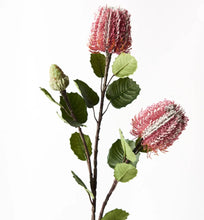 Load image into Gallery viewer, Banksia Spray Pink

