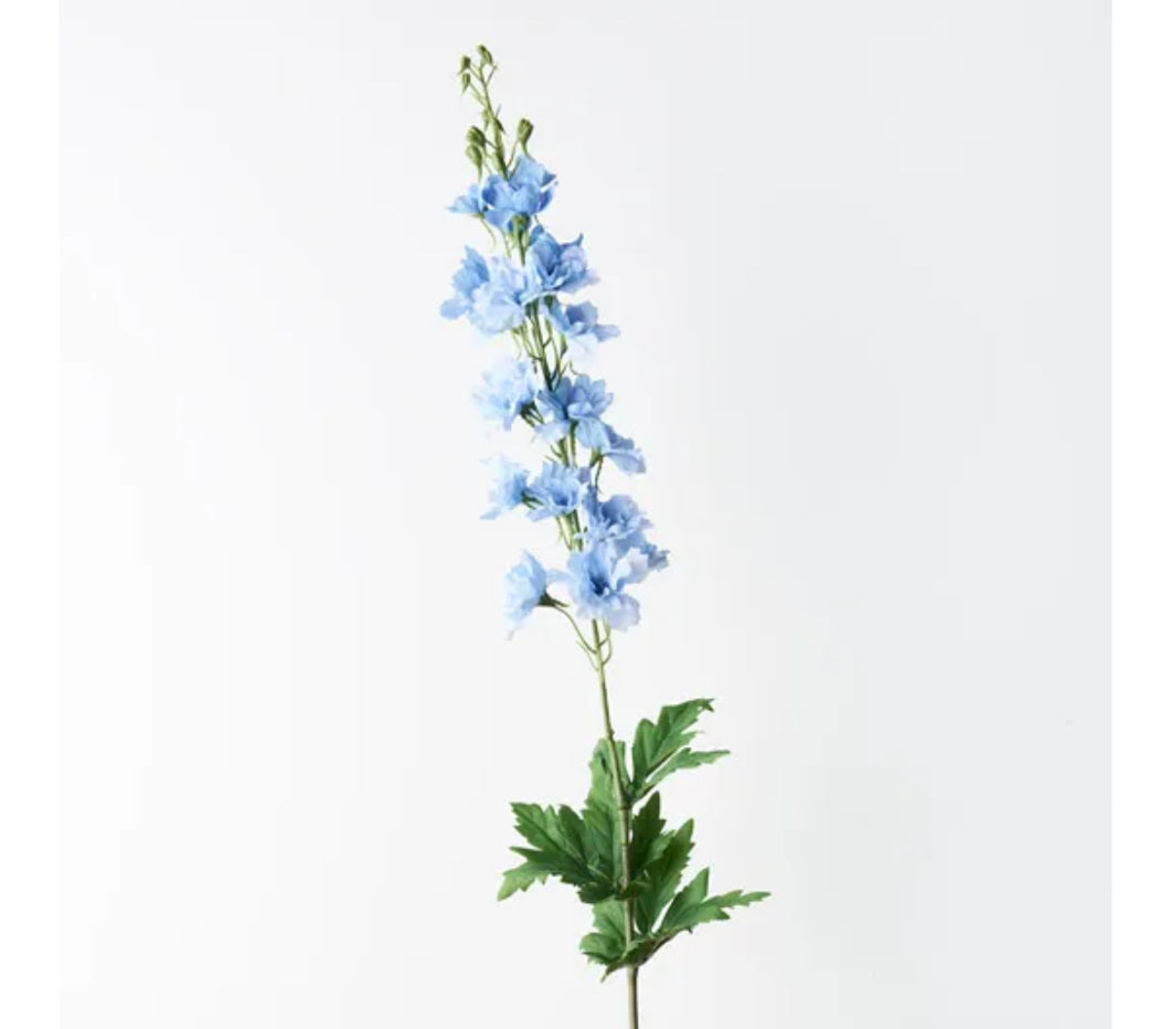 Light blue Delphinium