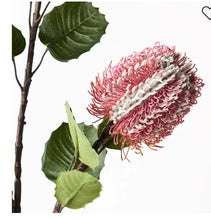 Load image into Gallery viewer, Banksia Spray Pink
