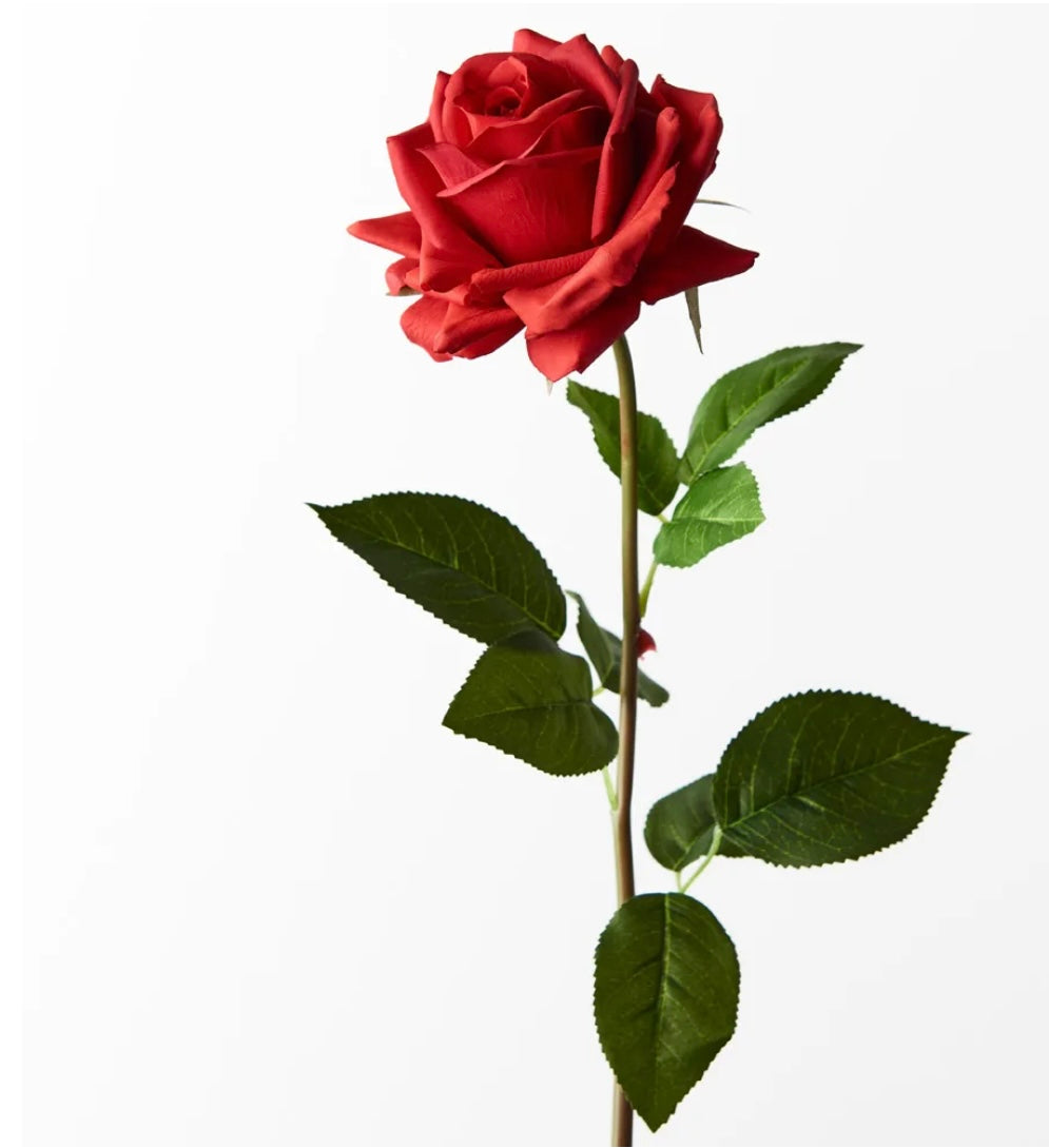Red Real touch Rose