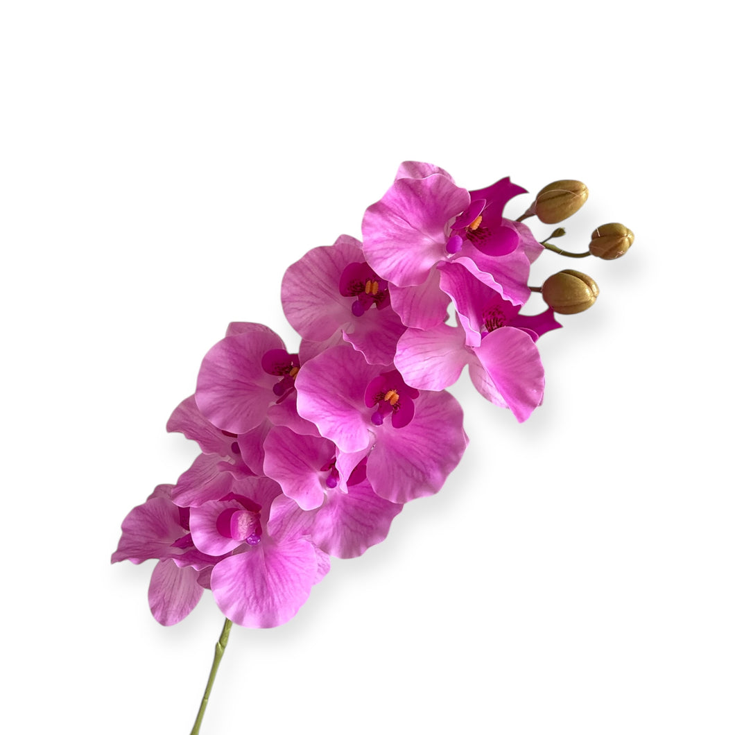 Fuchsia real touch Phalaenopsis Orchid