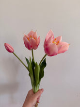 Load image into Gallery viewer, Pink Frill Tulips (sold out)
