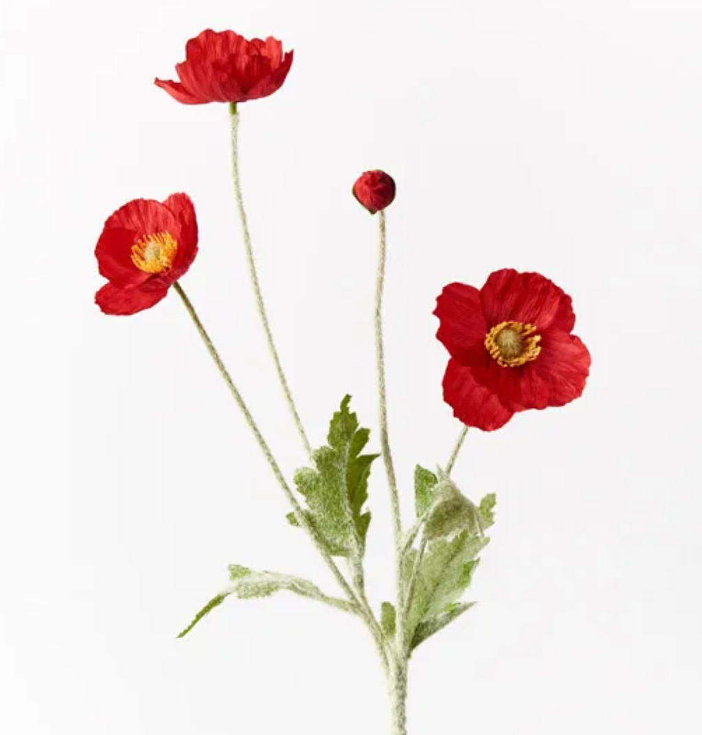 Red Poppy Spray