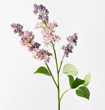 Load image into Gallery viewer, Lilac Spray
