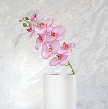 Load image into Gallery viewer, Mauve Phalaenopsis Orchid
