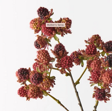 Load image into Gallery viewer, Red Burgundy Mulberry Spray
