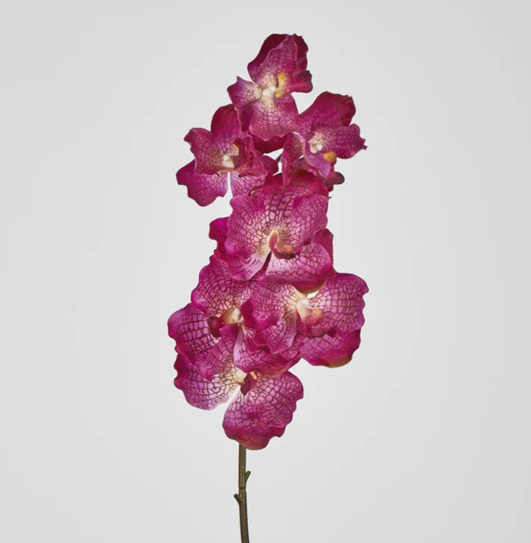 Purple real touch Orchid