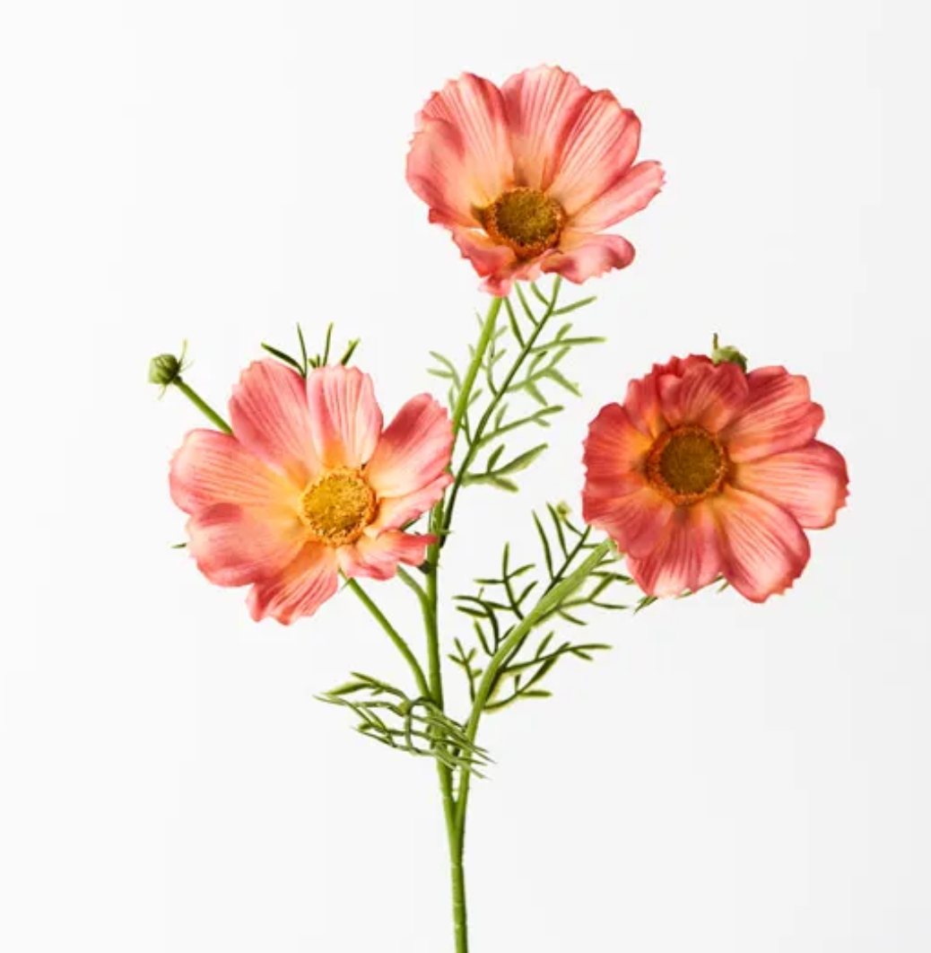 Orange Cosmos Spray