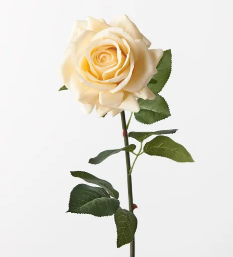 Butter real touch rose