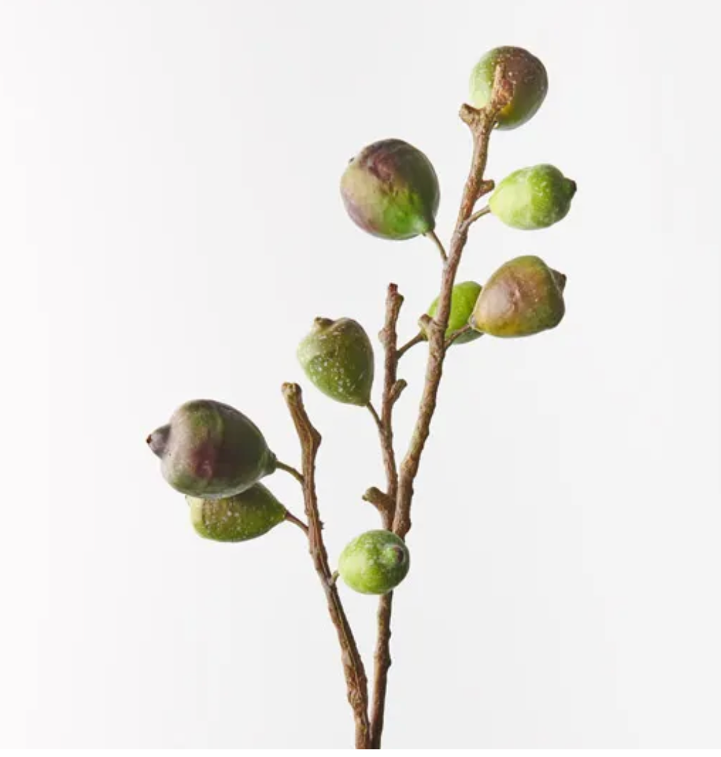 Green Fig Spray
