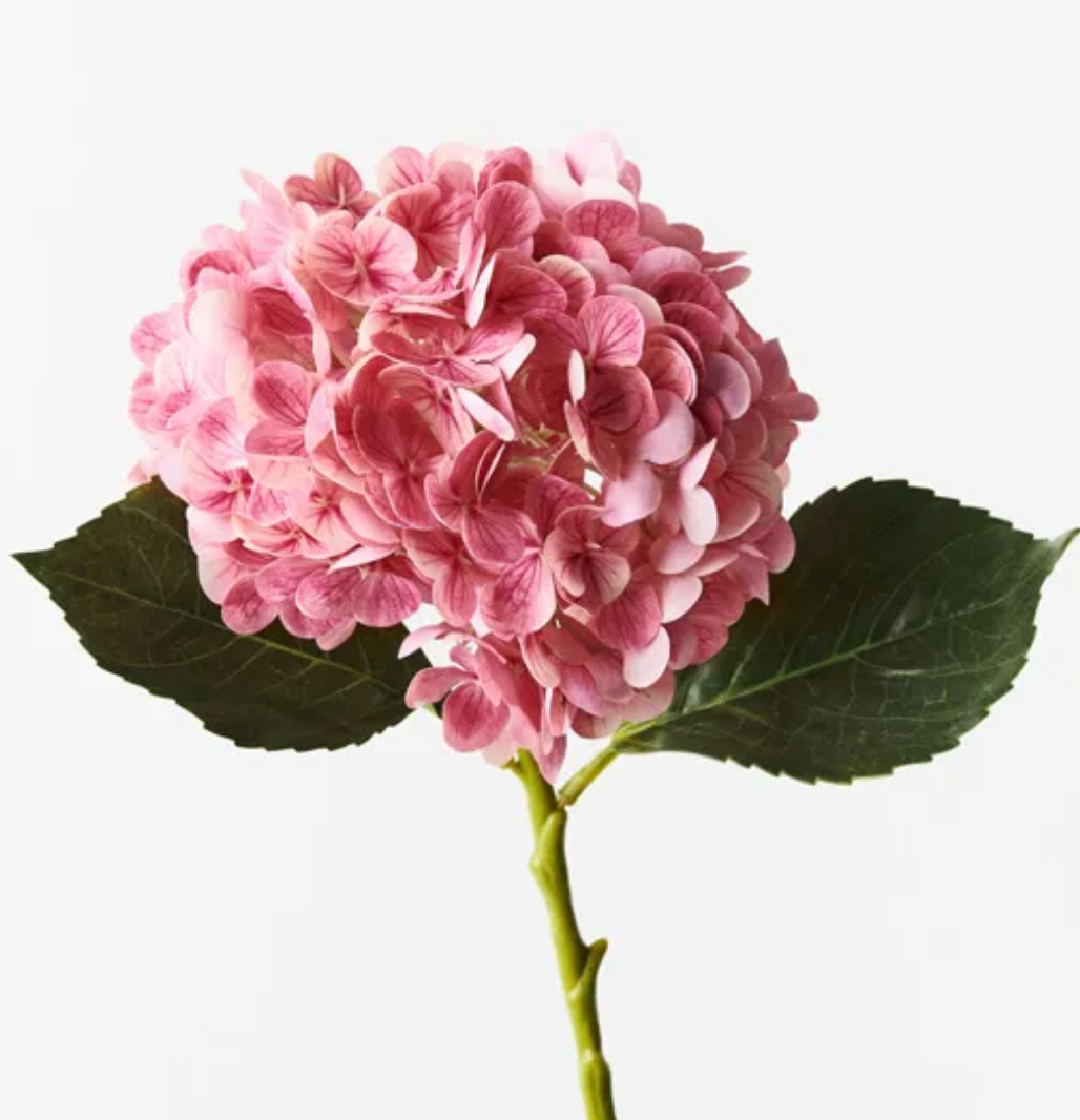 Pink Mauve Hydrangea