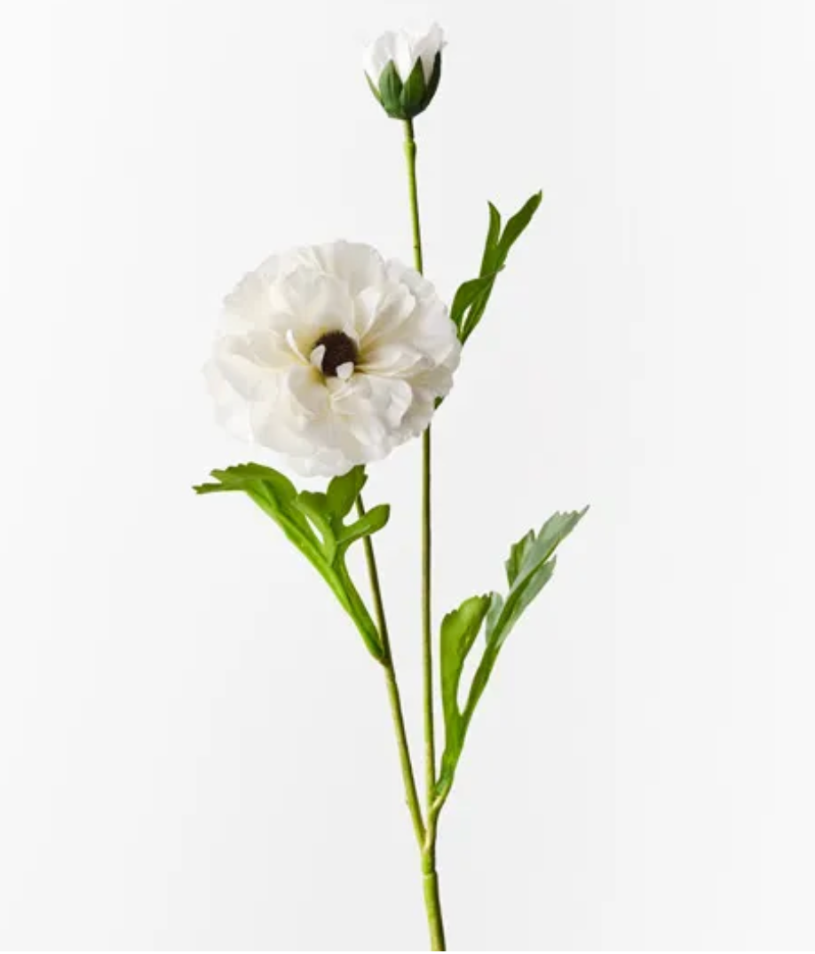 White Ranunculus Spray