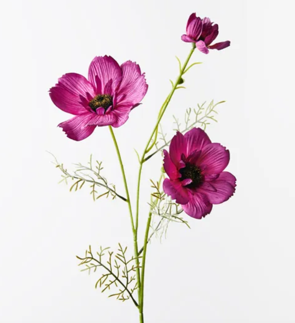 Plum Coreopsis Spray