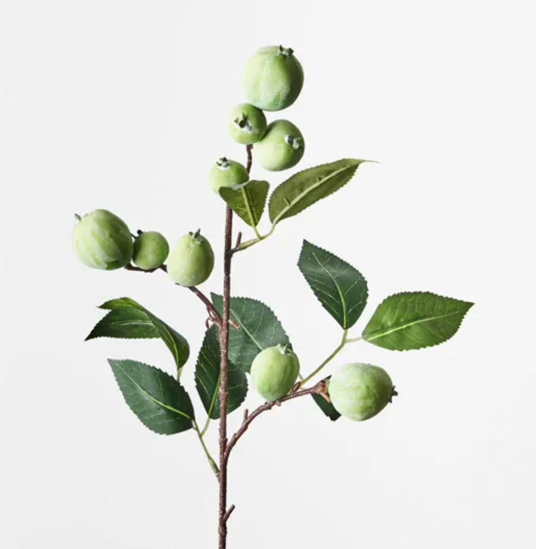 Camellia Fruit Spray