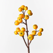 Load image into Gallery viewer, Yellow Loquat Spray

