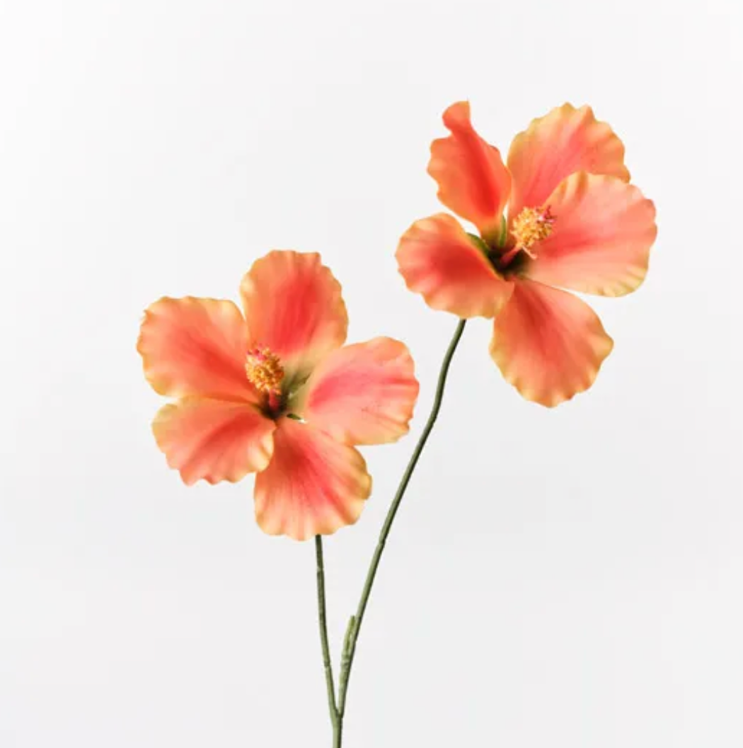 Coral Hibiscus Spray