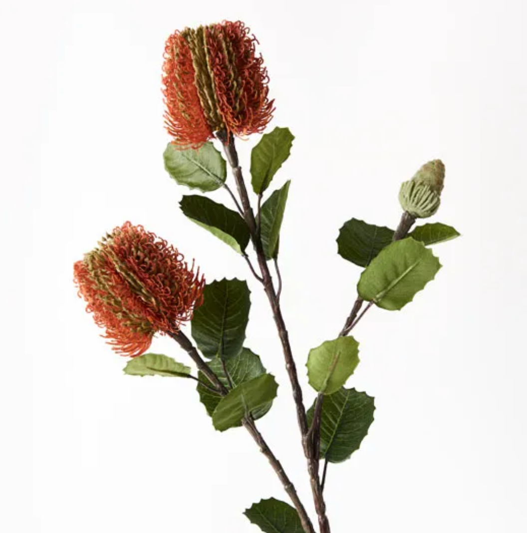 Banksia Spray Orange