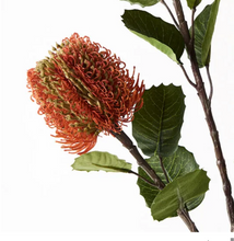 Load image into Gallery viewer, Banksia Spray Orange
