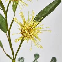 Load image into Gallery viewer, Flowering Gum Yellow
