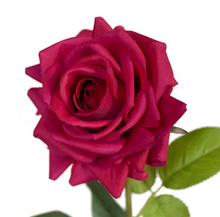 Load image into Gallery viewer, Deep Pink Real Touch Rose
