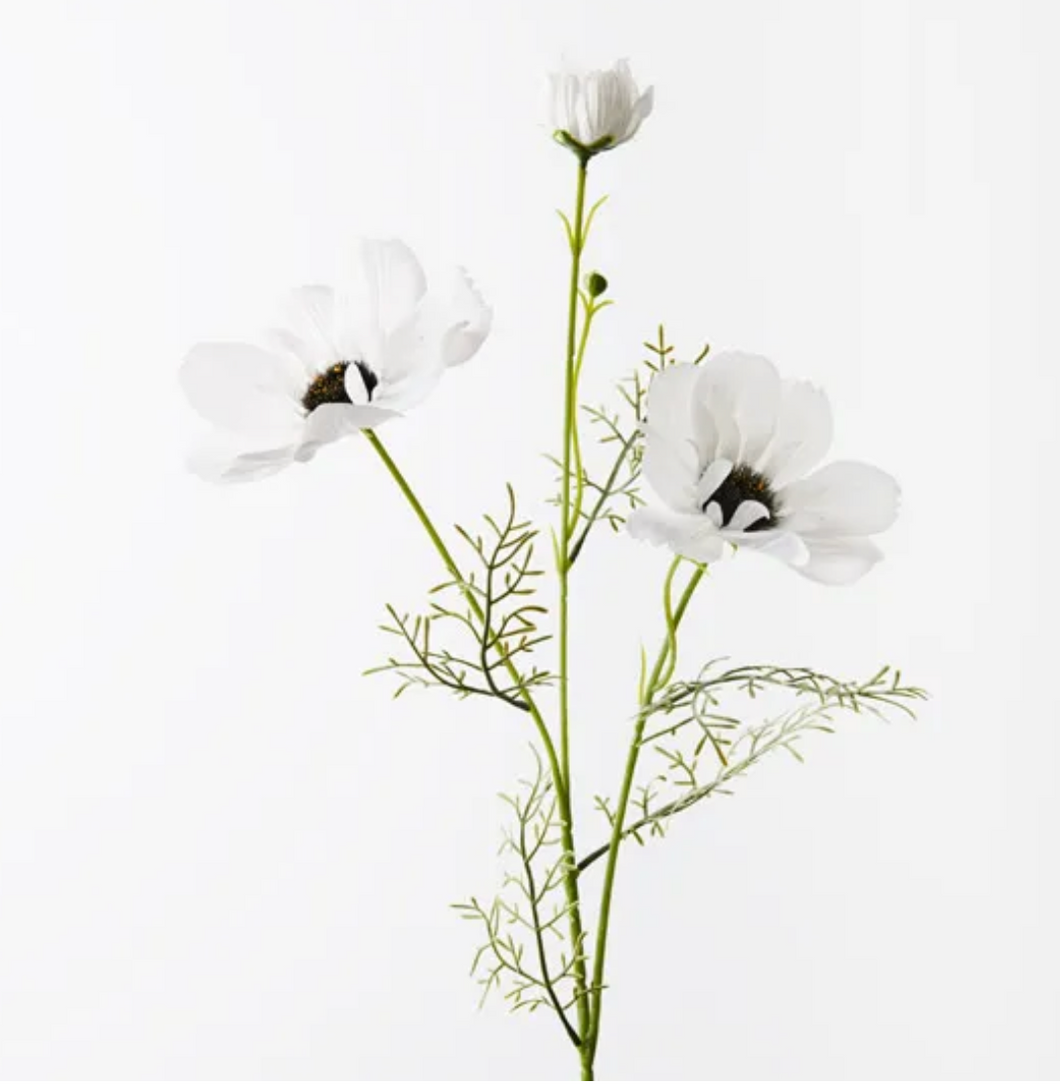 White Coreopsis Spray