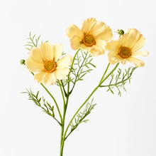 Load image into Gallery viewer, Butter Yellow Cosmos Spray
