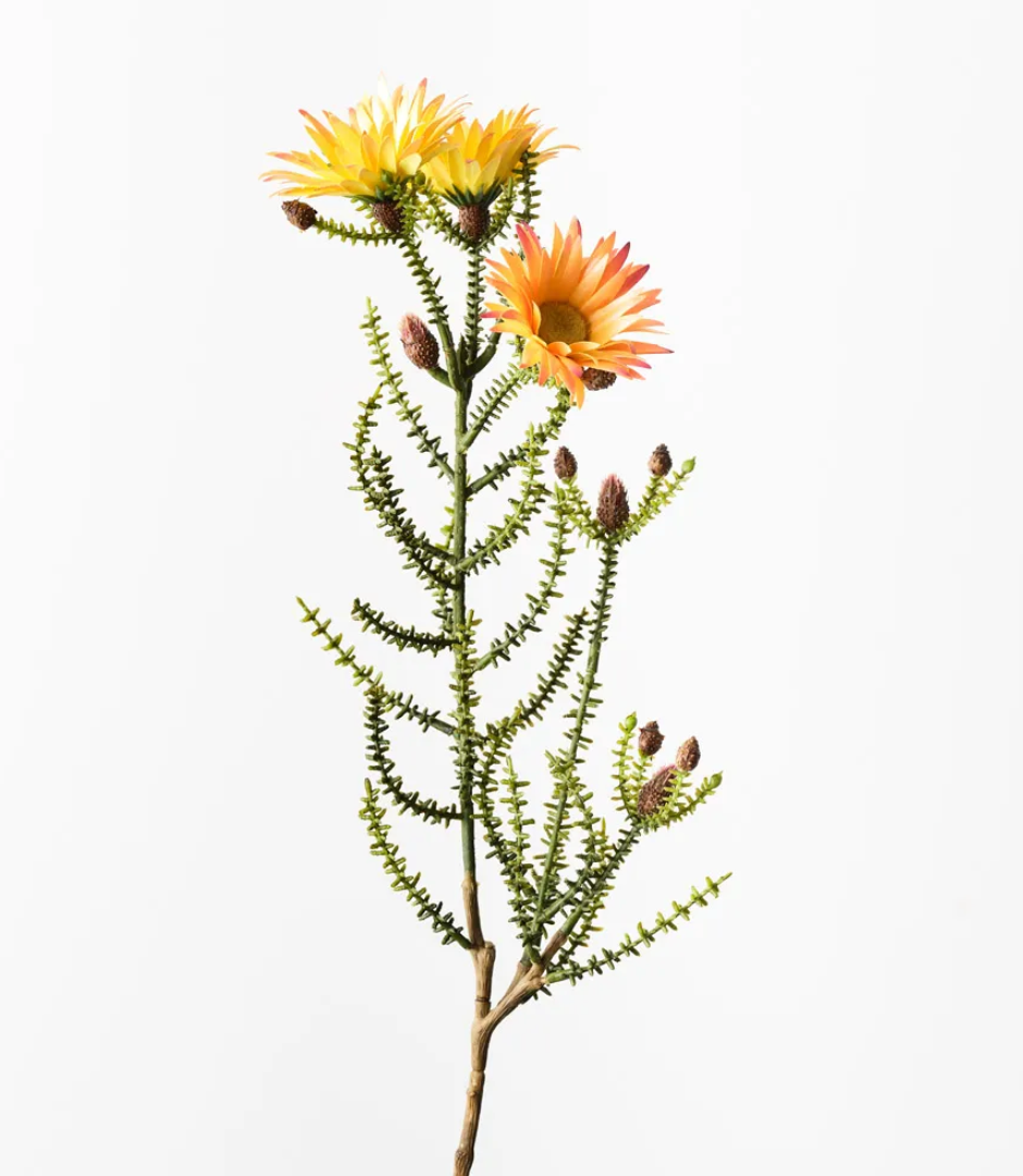 Yellow Kaaps Flower Spray