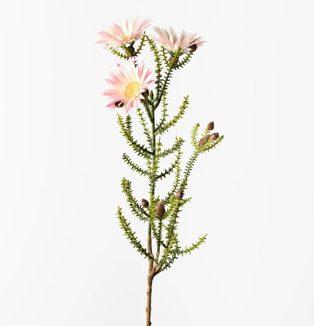 Light Pink Kaaps Flower Spray