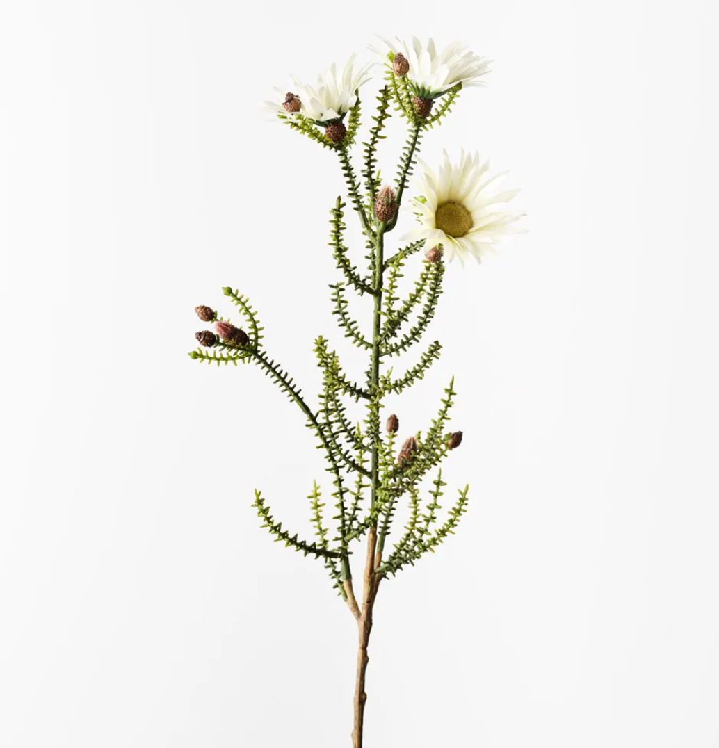 White Kaaps Flower Spray