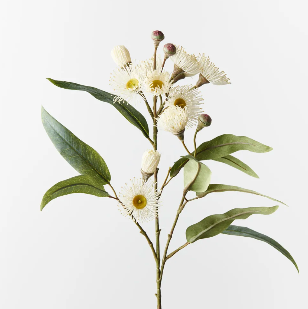 White Eucalyptus Flowering Spray