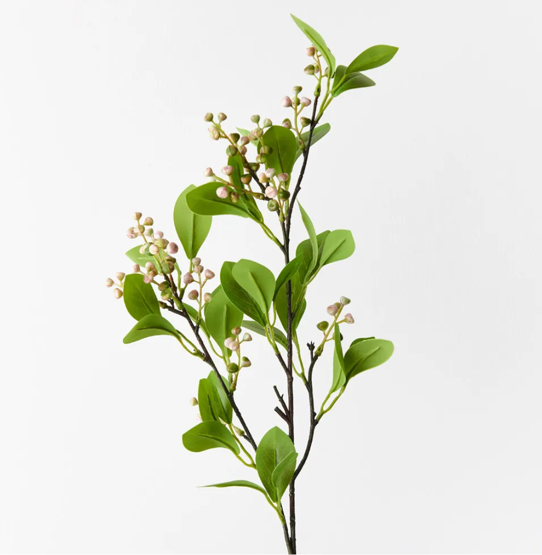 Seed Spray