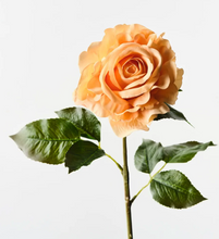 Load image into Gallery viewer, Orange Juliette Rose
