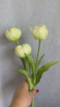 Load and play video in Gallery viewer, White real touch tulips
